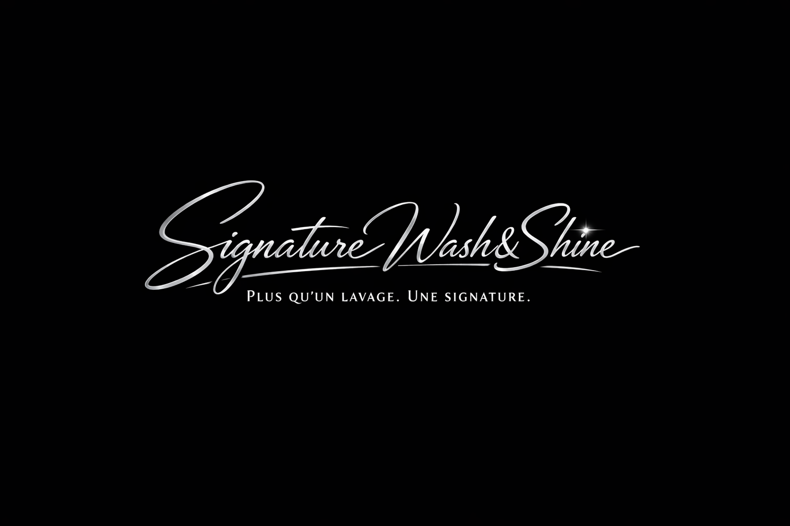 Signature Wash&Shine 